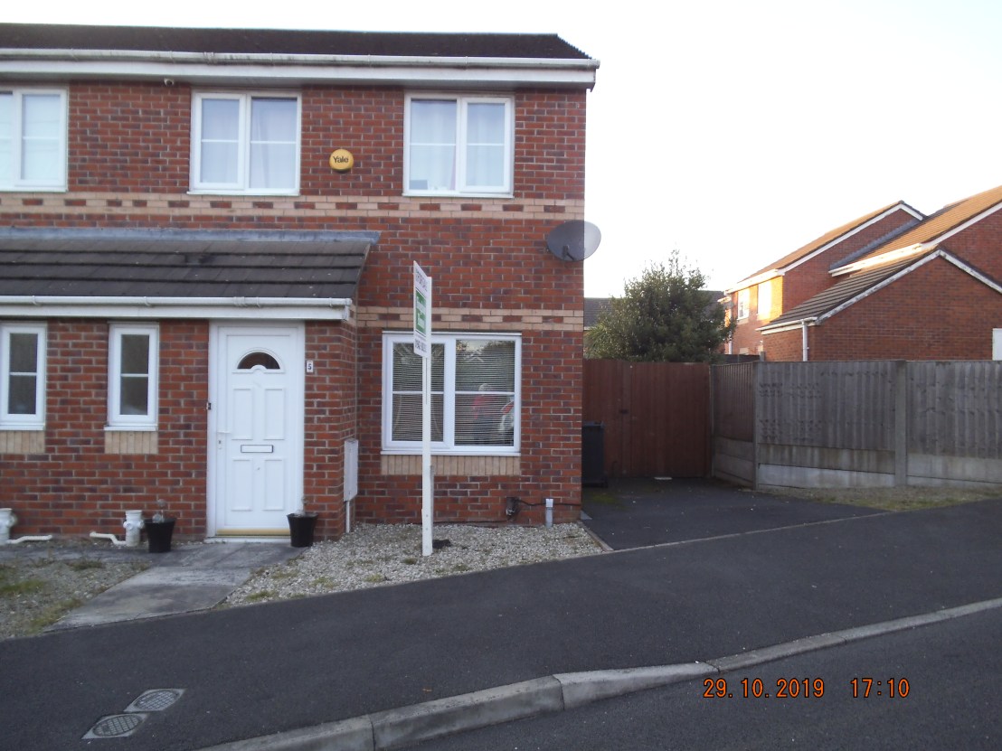 buttercup, close, a,5